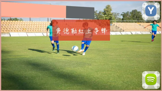 费德勒红土争锋