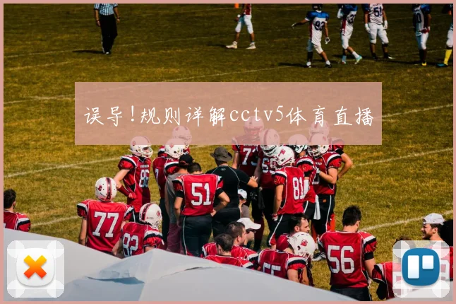 误导!规则详解cctv5体育直播
