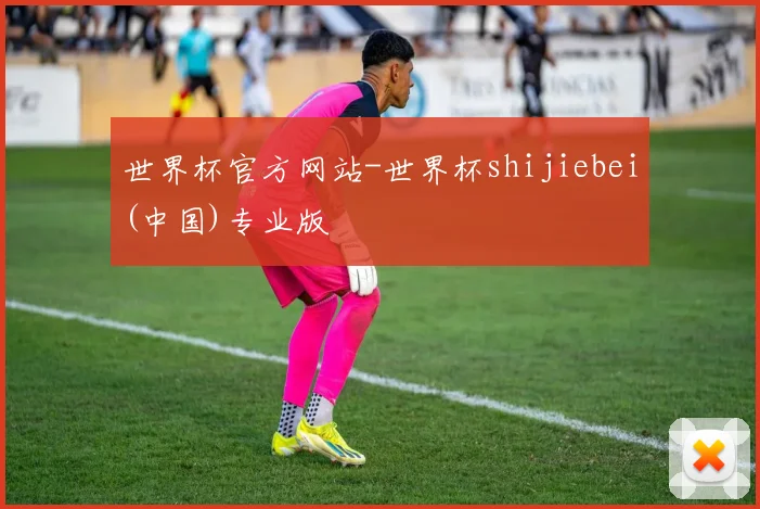 世界杯官方网站-世界杯shijiebei(中国)专业版