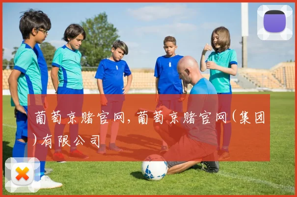 葡萄京赌官网,葡萄京赌官网(集团)有限公司