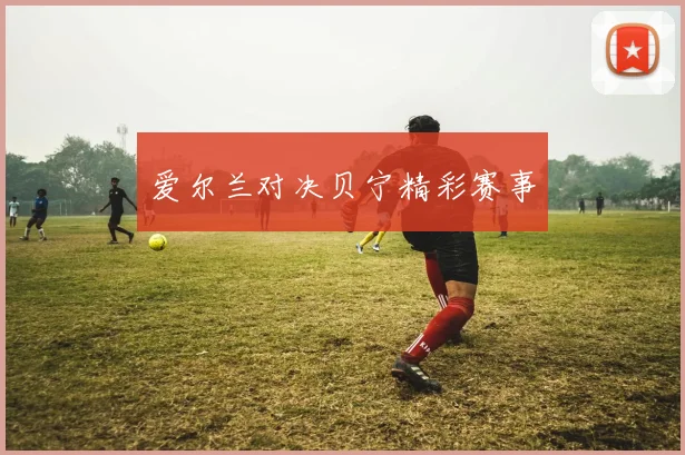 爱尔兰对决贝宁精彩赛事