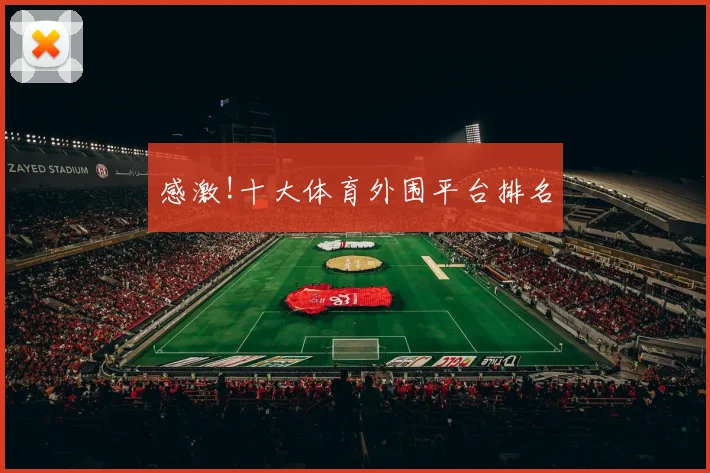 感激!十大体育外围平台排名