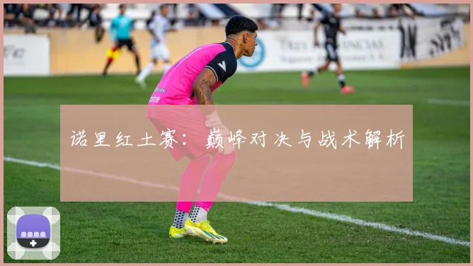 诺里红土赛:巅峰对决与战术解析