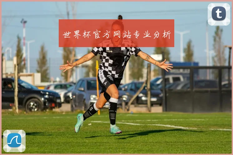 世界杯官方网站专业分析