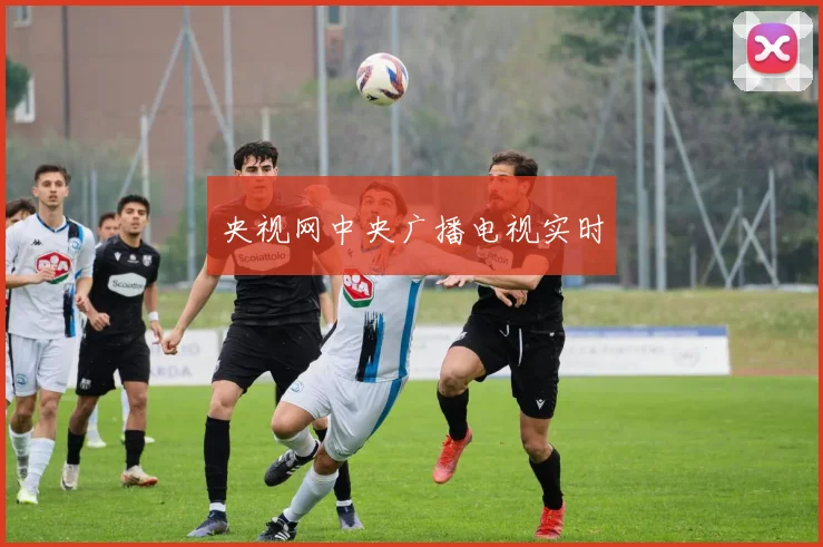 央视网中央广播电视实时