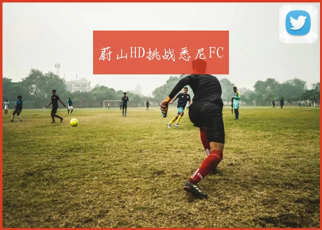 蔚山HD挑战悉尼FC