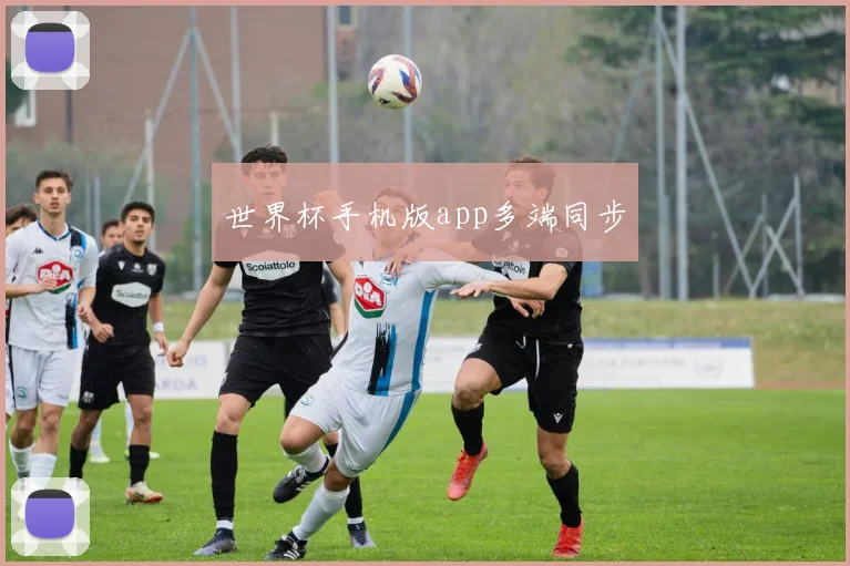 世界杯手机版app多端同步