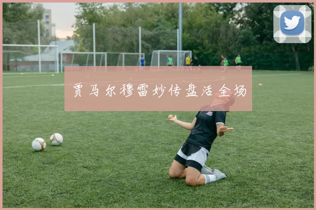 贾马尔穆雷妙传盘活全场