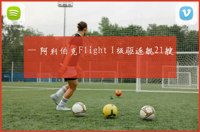 — 阿利伯克Flight I级驱逐舰21艘