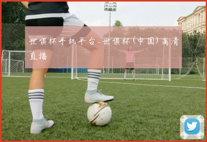 世俱杯手机平台_世俱杯(中国)高清直播