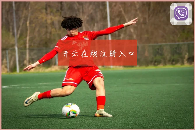 开云在线注册入口