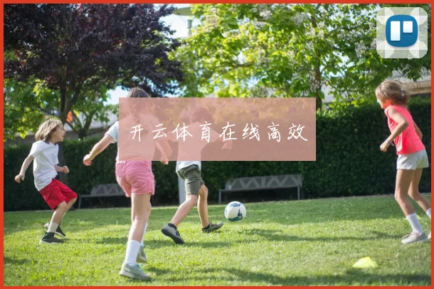 开云体育在线高效