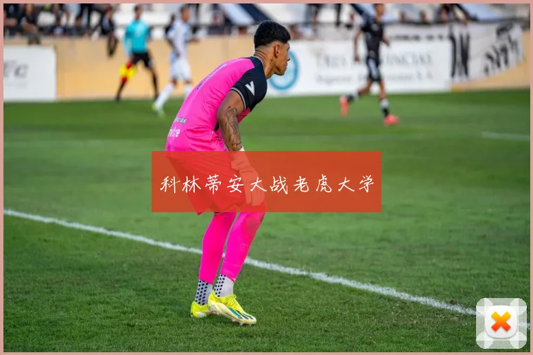 科林蒂安大战老虎大学