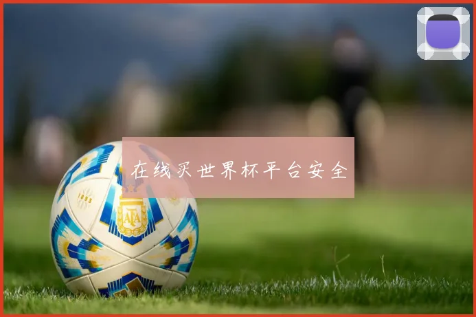 在线买世界杯平台安全
