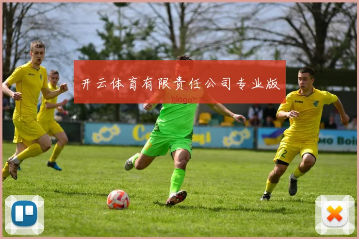 开云体育有限责任公司专业版