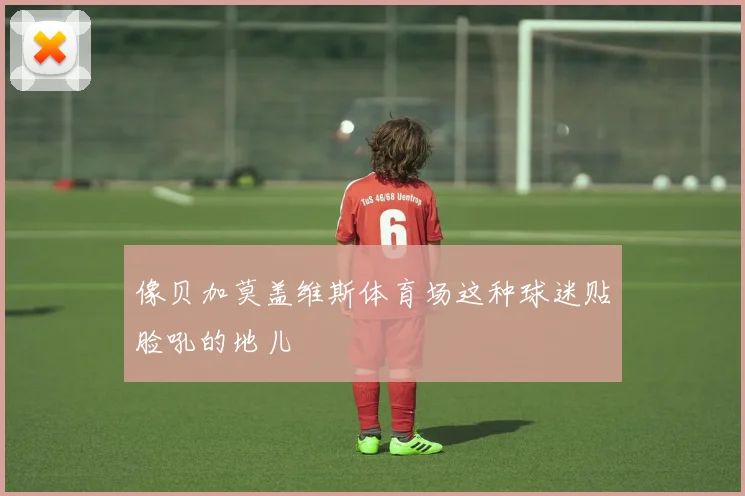 像贝加莫盖维斯体育场这种球迷贴脸吼的地儿