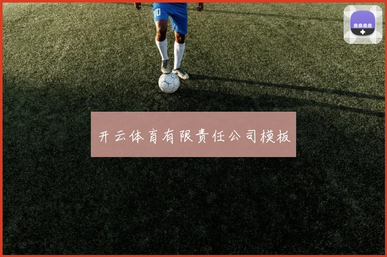 开云体育有限责任公司模板