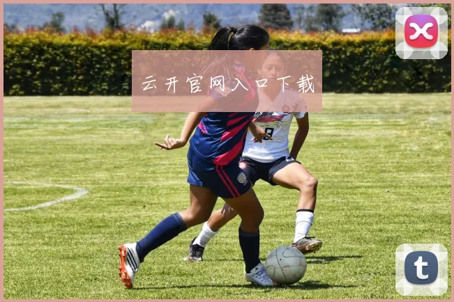 云开官网入口下载