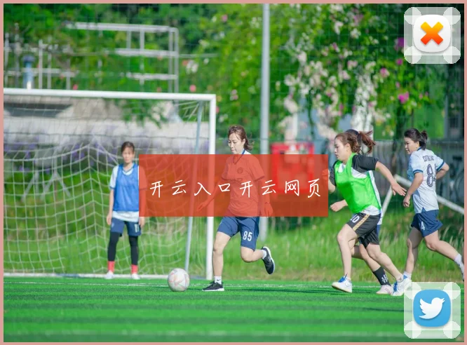 开云入口开云网页