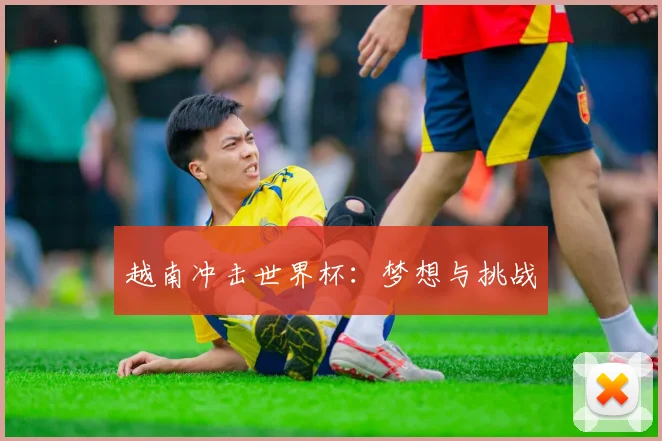 越南冲击世界杯：梦想与挑战