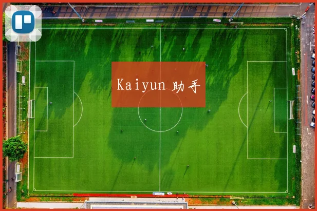 Kaiyun 助手