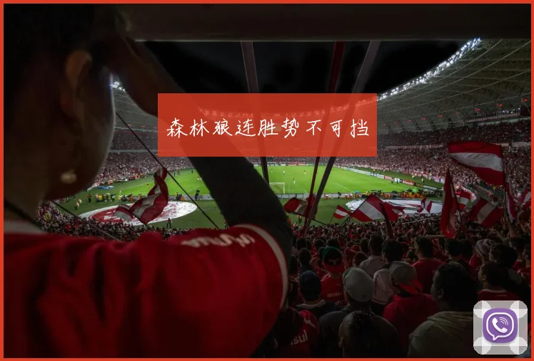 森林狼连胜势不可挡