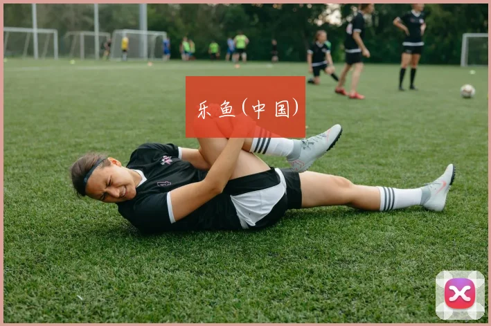 乐鱼(中国)