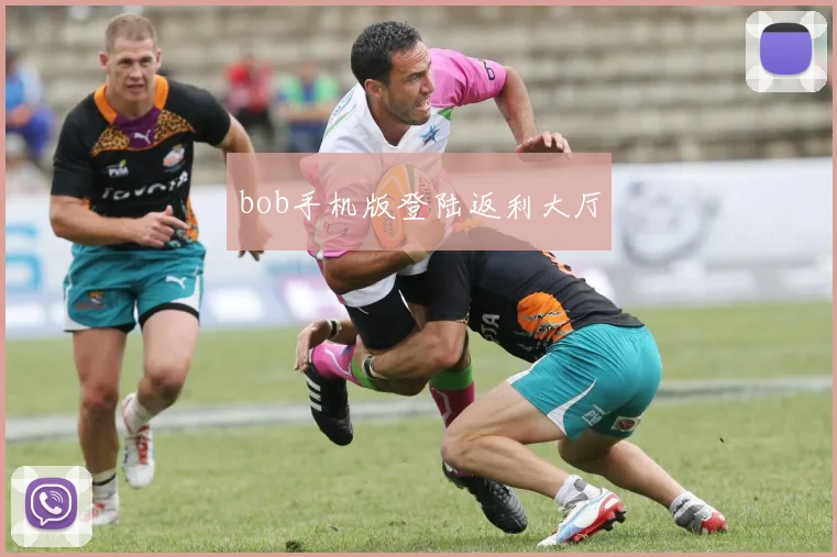 bob手机版登陆返利大厅