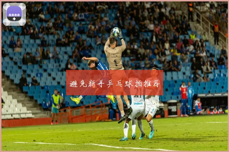 避免新手乒乓球拍推荐