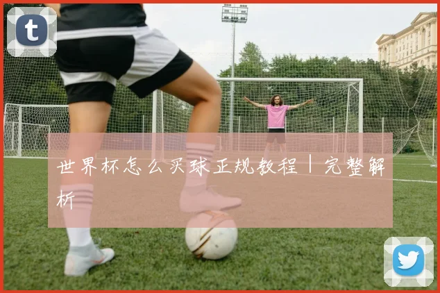 世界杯怎么买球正规教程｜完整解析