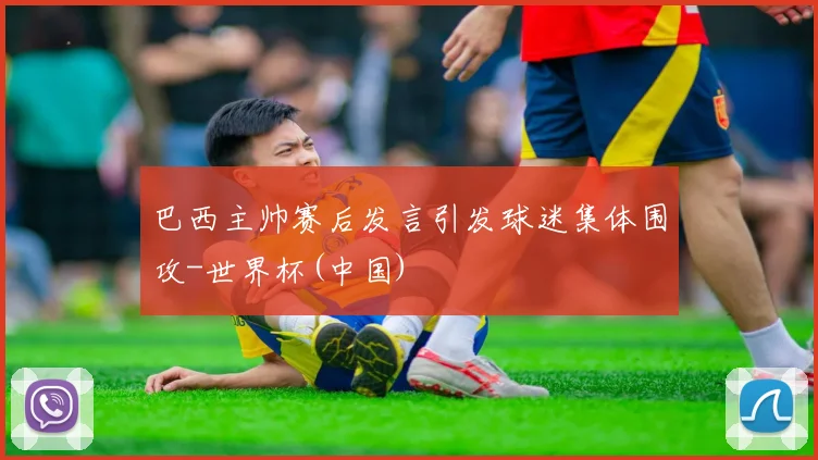 巴西主帅赛后发言引发球迷集体围攻-世界杯(中国)