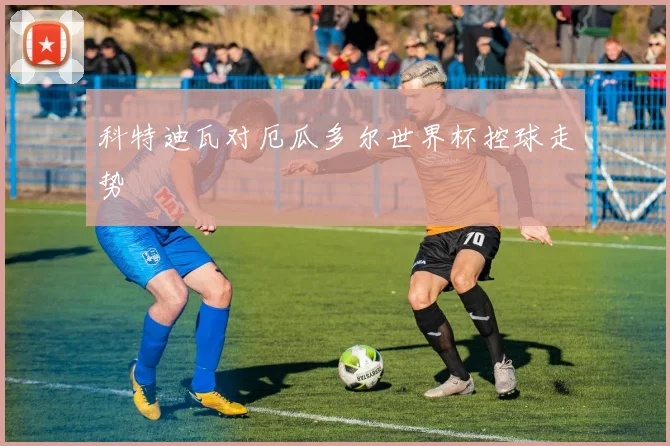 科特迪瓦对厄瓜多尔世界杯控球走势