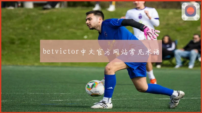 betvictor中文官方网站常见术语